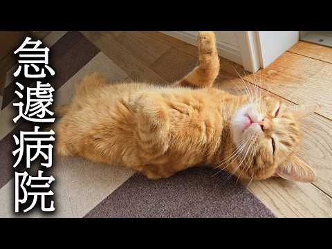 これから病院へ行ってきます…