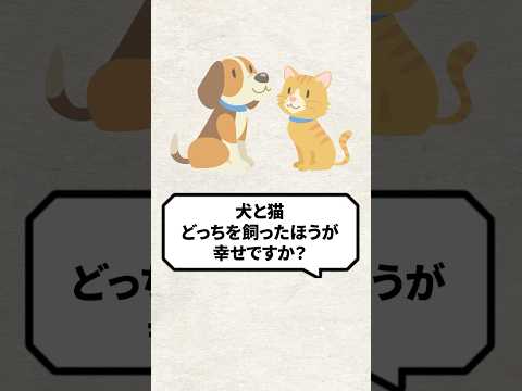 Q：犬と猫どっちを飼った方が幸せですか？ #猫 #保護猫 #猫になりたい