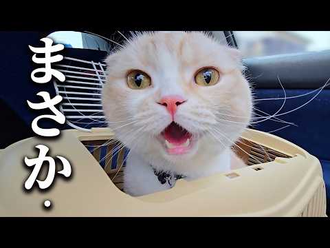 緊急で病院から呼び出されました…