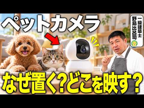 ペットカメラ、見るべきは「姿」だけじゃない　犬・猫の留守番におすすめの設置場所と確認ポイントを一級建築士が解説