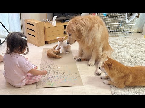 2歳児がやることを応援する勢と邪魔する勢の犬猫のやり取りが面白すぎました…